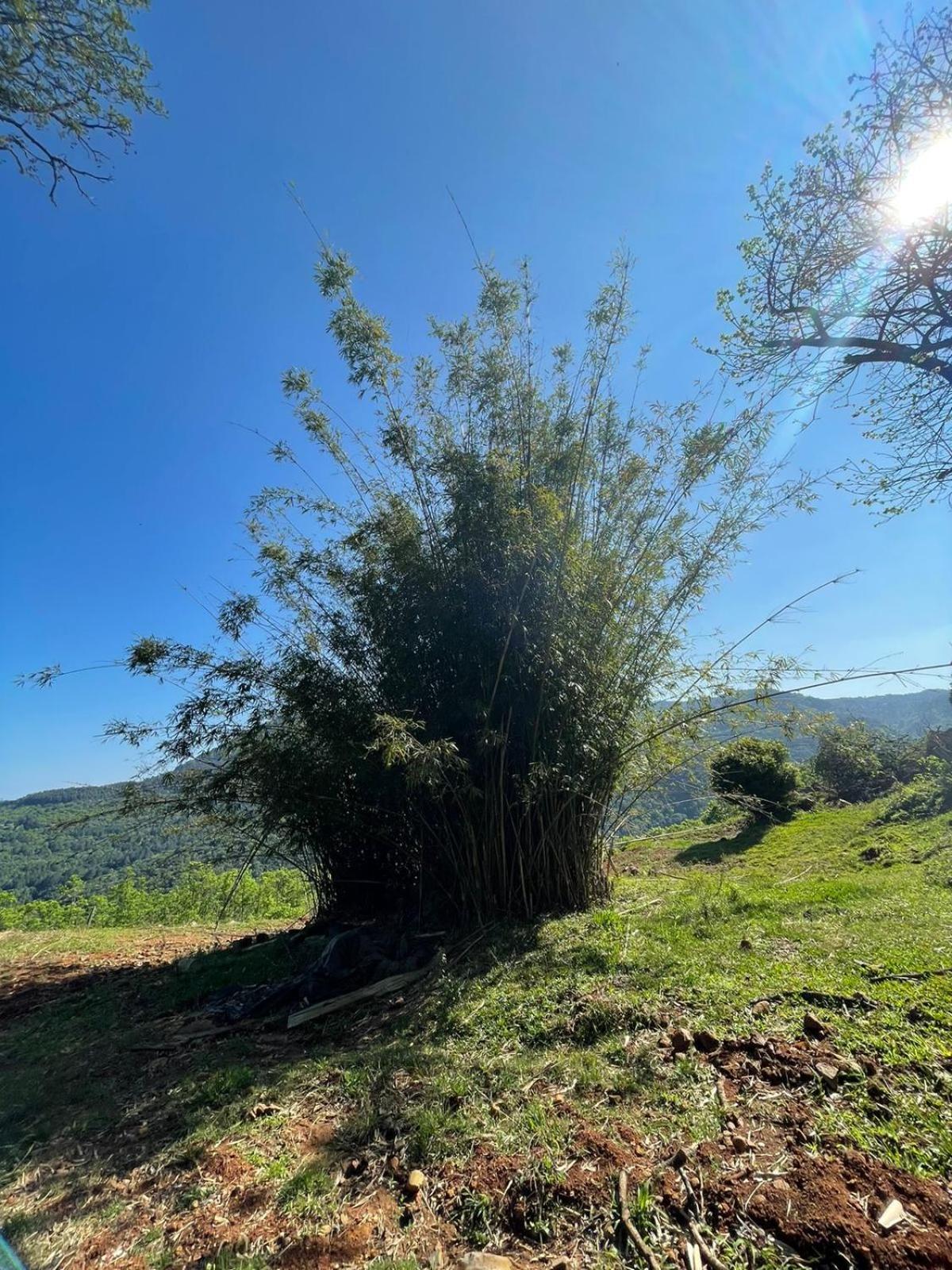 Chales Vista Do Paraiso Канела Экстерьер фото